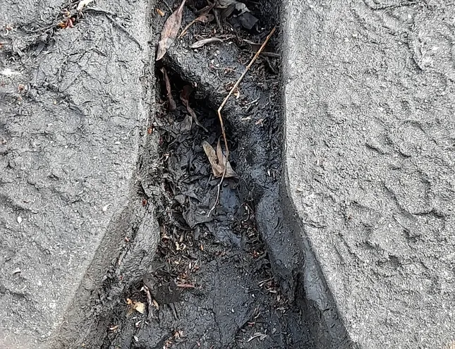 MAN TGX (2007-present) Siodło 81427106274,81.42710-6274,Jost,I=980mm|P=800mm|A=150mm 34823552