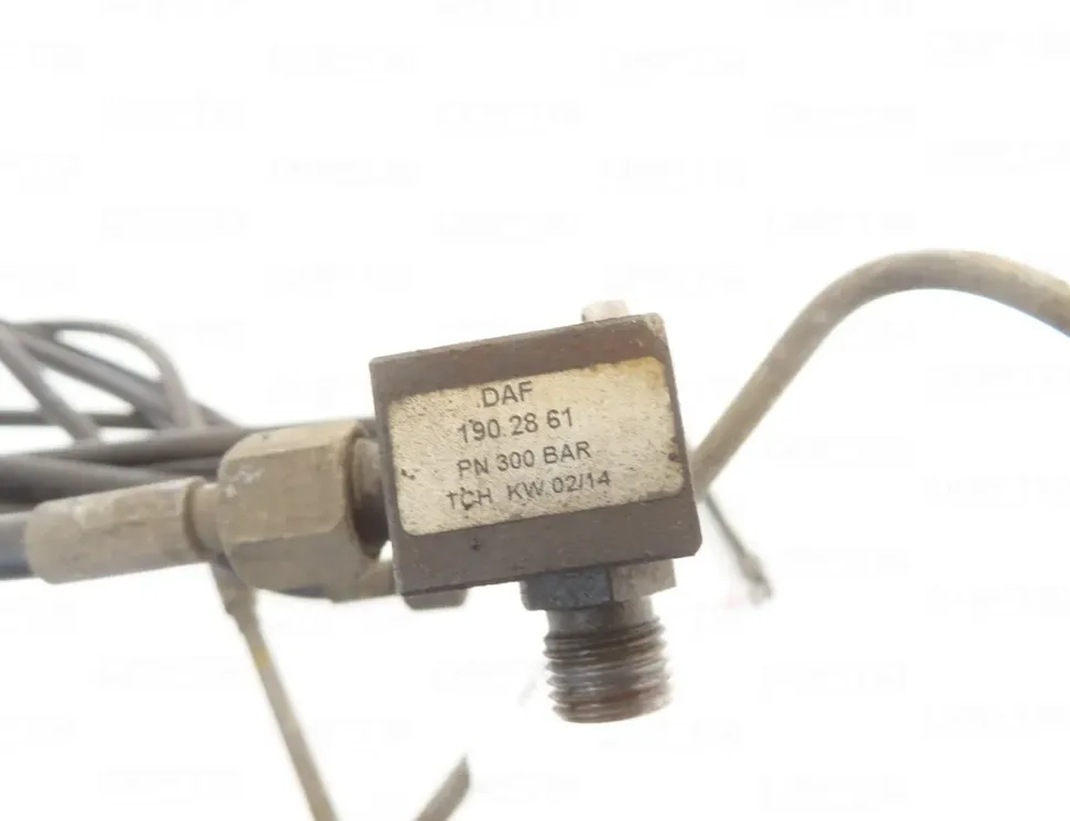 DAF XF (2012-present) Wąż podnoszenia kabiny 1902861 29924260