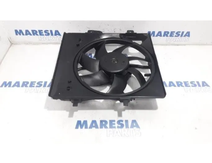 PEUGEOT 208 Peugeot 208 (2012-2015) Other Control Units 9812028580,9675280980,M159983,1253H4,FS2056 26975195