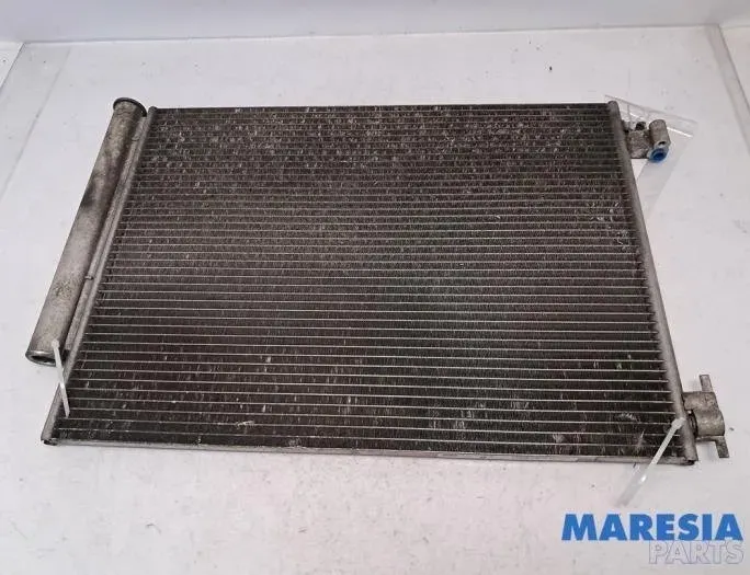 DACIA Sandero 2 generation (2013-2020) Pompa klimatyzacji 8660003630,8660006076,8660006080,921006843R 29181082