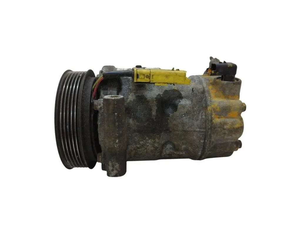 PEUGEOT 307 1 generation (2001-2008) Air Condition Pump 9670318880 31226107