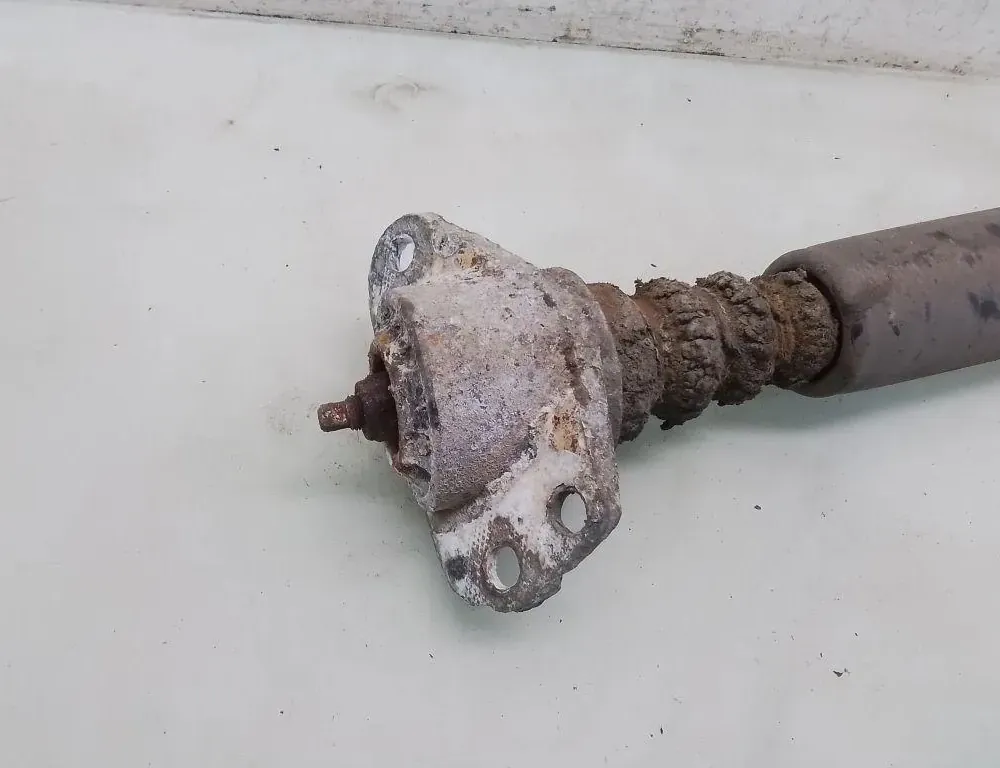 VOLKSWAGEN Golf 4 generation (1997-2006) Amortyzator tylny prawy 35083502