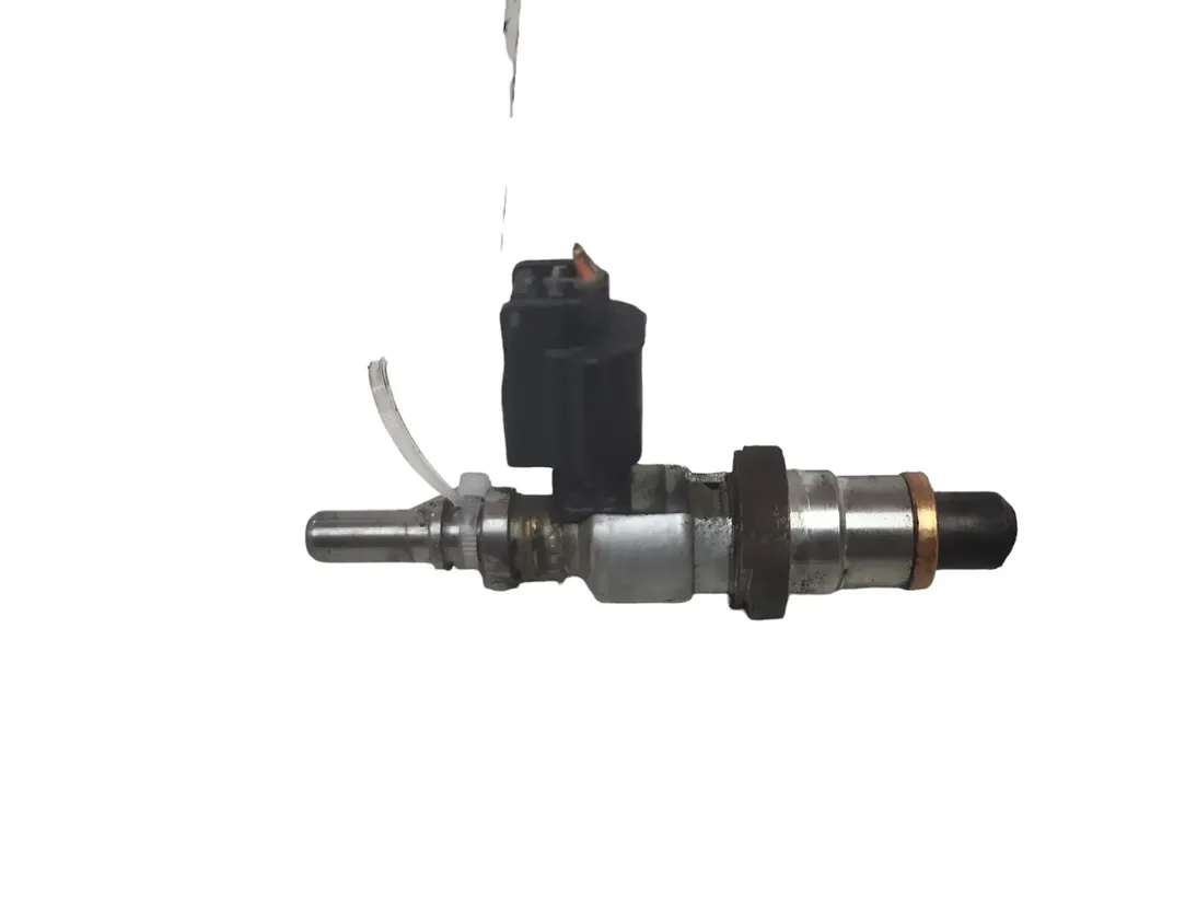 DACIA Logan 1 generation (2004-2012) Fuel Injector H8200769153 28789793