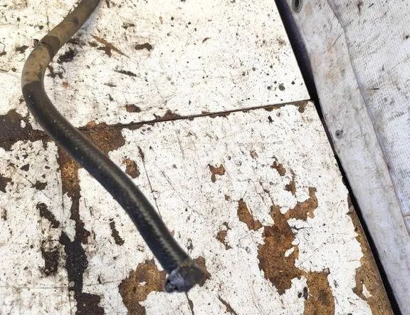 VOLVO V70 2 generation (2000-2008) Power Steering Hose Pipe 30636302 34649529