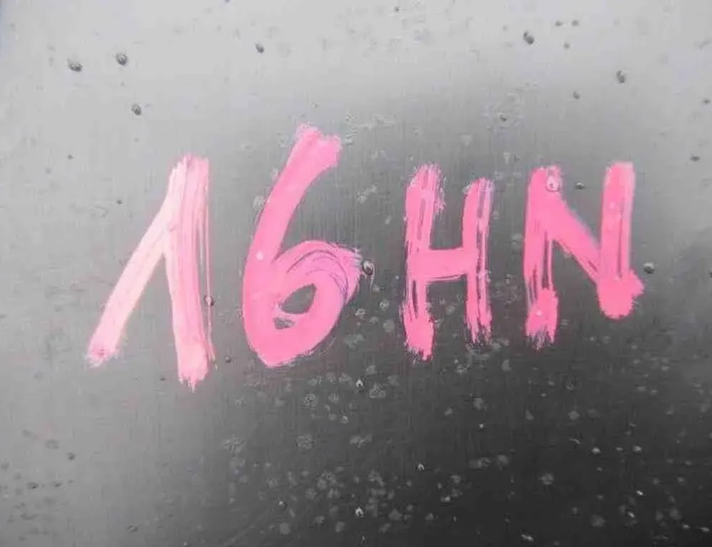 DACIA Sandero 2 generation (2013-2020) Przedni górny grill 623103971R 32489929