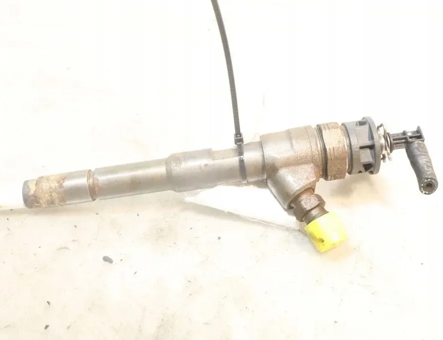 RENAULT Captur 1 generation (2013-2019) Wtrysk paliwa 0445110652 32916034