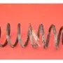 SEAT Toledo 2 generation (1999-2006) Front left spring SEAT 22104252