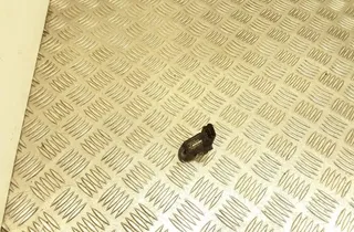 PEUGEOT 206 1 generation (1998-2009) MAP Sensor 0261230043,9639381480 35106523