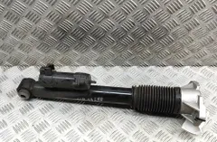 MERCEDES-BENZ GLE W167 (2019-2024) Amortyzator tylny prawy A1673202201 30918780