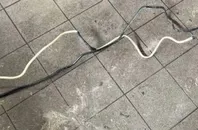 BMW 6 Series E63/E64 (2003-2010) Breather hose 2283245 35053361