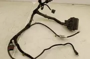 OPEL Insignia B (2017-2024) Cable Harness 22967664 35051284