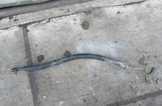 AUDI A4 B7/8E (2004-2008) Power Steering Hose Pipe 32535663